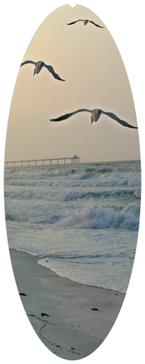 DNSA18-126 Going Home (Seascape)